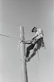 Lineman: Man - occupations - lineman - telephone
