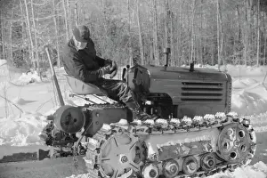 Logger: Man - Occupations - Logging - Lumber
