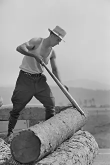 Lowell: Man - Occupations - Lumber - Worker