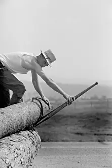 Lowell: Man - Occupations - Lumber - Worker