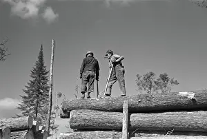 Lumberjacks: Man - occupations - lumberjack - timber