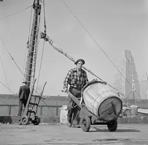 Stevedore: Man - Occupations - Seafood - Fish