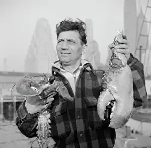 Stevedore: Man - Occupations - Seafood - Fish