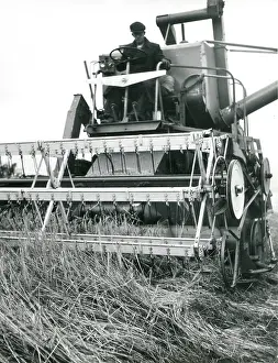 Farmhand: Man operating a combine harvester, Cornwall