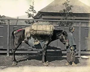 Burden: Man with pack horse, Japan