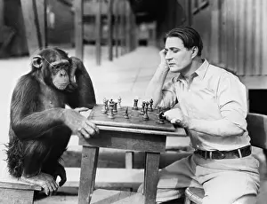 Intent: Man playing chess with monkey