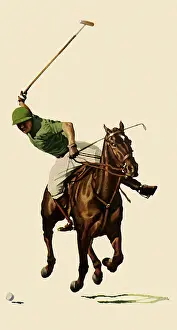 Ponies: Man in Polo Form