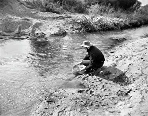 Panning: Man Prospector Panning for Gold in Stream