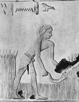 Flint: Man reaping barley with a sickle, probably of