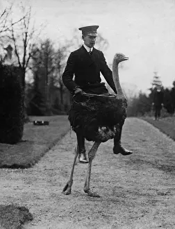 Deals: Man rides an ostrich