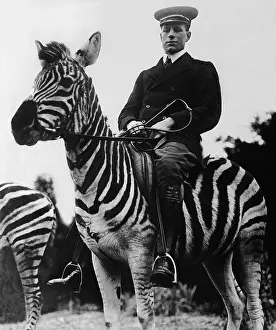 Landlord: Man rides on a zebra
