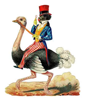 Eyeglass: Man riding an emu on a Victorian scrap
