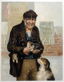 Fancier: Man selling puppies