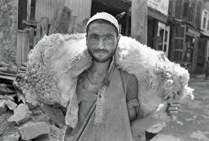 Mutton: Man with sheep carcass, Kashmir