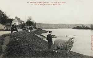 Manoir: Man & Sheep stare across the Seine