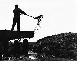 Manure: Man shovelling manure from the back of a lorry