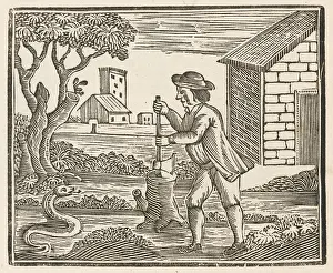 Intention: MAN AND SNAKE