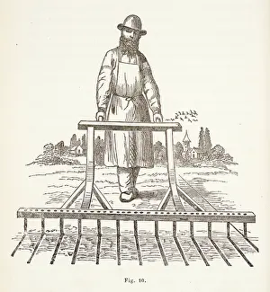 Tous: Man sowing seeds in lines, using mechanical device