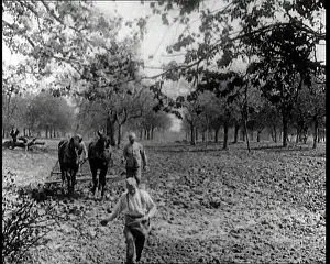 Spreads: A Man Spreads Seeds As He Walks Along a Field