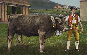 Steer: Man and Steer with Bell