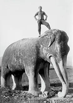 Ming: Man on top of stone elephant, Ming tombs, China, c.1910