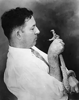 Rattlesnake: A man with a stuffed rattlesnake