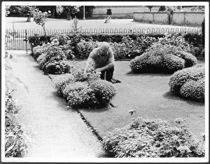 Crouches: MAN TENDING GARDEN