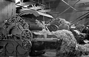 Fluff: Man in textile industry operating machine, Scotland