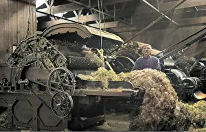 Fluff: Man in textile industry operating machine, Scotland
