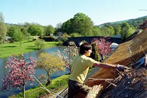 Bickleigh: Man thatching a roof, Bickleigh, Devon