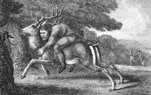 Discomfort: MAN TIED TO STAG/TORTURE