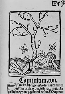 Torment: Man tormented by insects