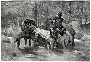 Pelts: Man - trapper - frontier - hunter