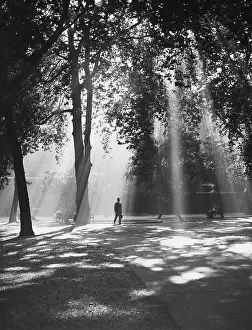 Man Walks in Sunshine