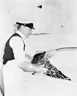 Employ: Man washing his dog in a tub