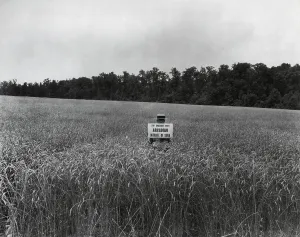 Nitrate: Man in a wheat field holding a sign, Top Dressed