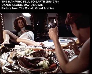 Bowie: THE MAN WHO FELL TO EARTH