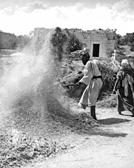 Separating: Man winnowing corn, Egypt