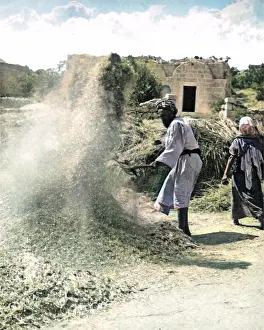 Man winnowing corn, Egypt