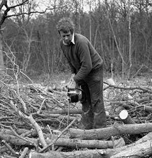 Tony Boxallfrps: Man in a wood, using a chainsaw
