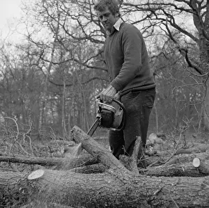 Sawdust: Man in a wood, using a chainsaw