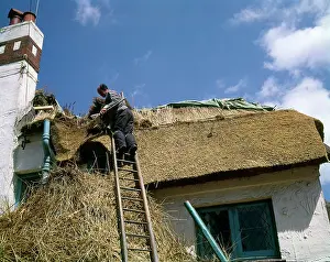 Thatching: Man at work thatching a roof, Devon