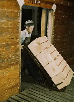 Redlands: Man - Worker - Occupations - WWII