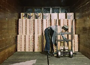 Redlands: Man - Worker - Occupations - WWII