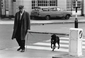 Cresta: Man on a zebra crossing with his dog