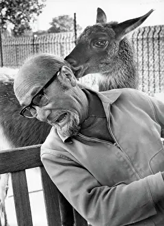 Licking: Man at a zoo receives unexpected attention