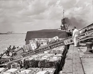 Stevedores: Manager Watching Crew of Men Unloading Bales of