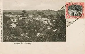 Mandeville: Mandeville, Jamaica