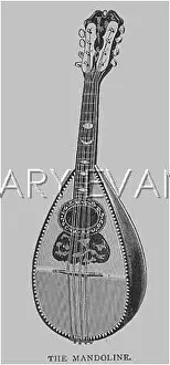 Mandoline: MANDOLIN ON ITS OWN