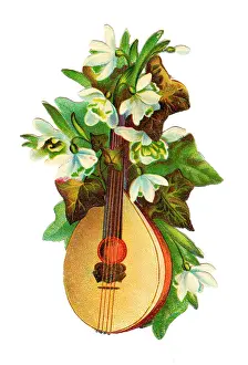 Mandolins: Mandolin with white flowers on a Victorian scrap